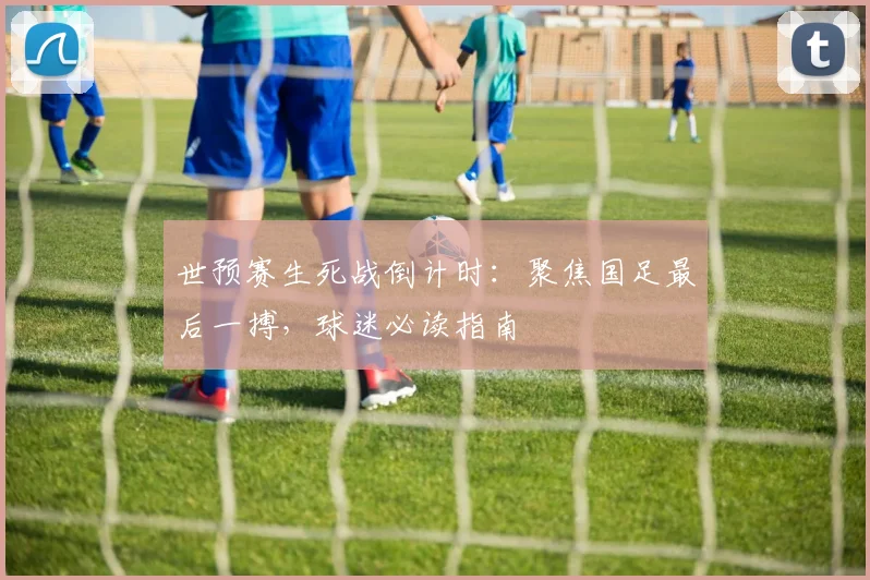 世预赛生死战倒计时：聚焦国足最后一搏，球迷必读指南