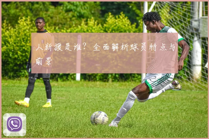 人新援是谁?全面解析球员特点与前景